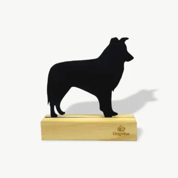 Enfeite Decorativo Border Collie Miniatura