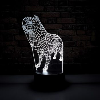 Luminária LED 3D Border Collie